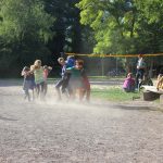 img_6293