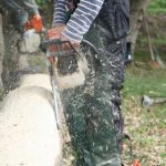 img_8316
