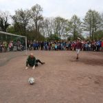 IMG_8744 Kopie